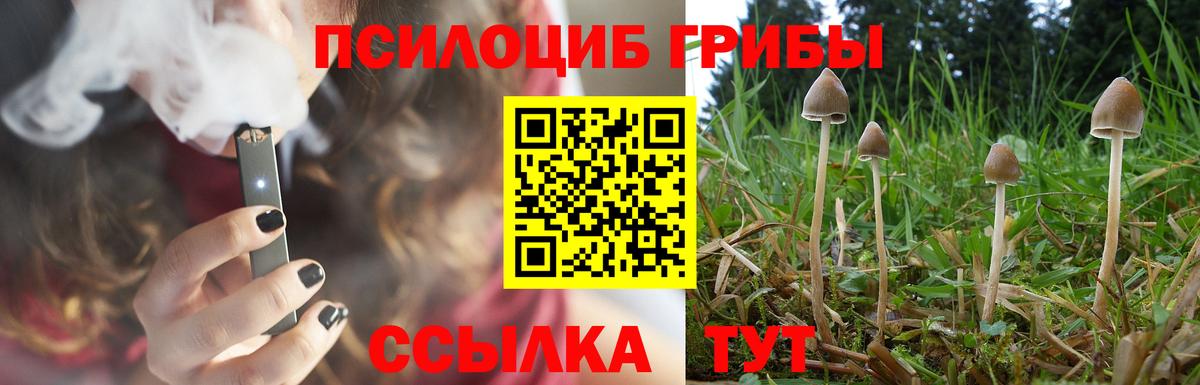 Псилоцибиновые грибы Psilocybe Шали