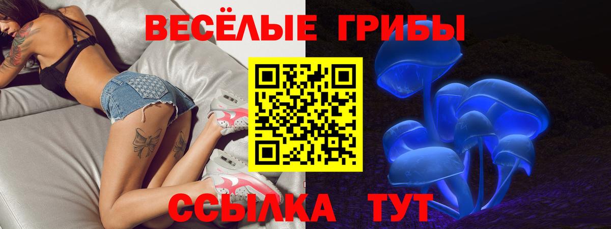 Псилоцибиновые грибы MAGIC MUSHROOMS  Галлюциногенные грибы Magic Shrooms  Шали  Вход с VPN 